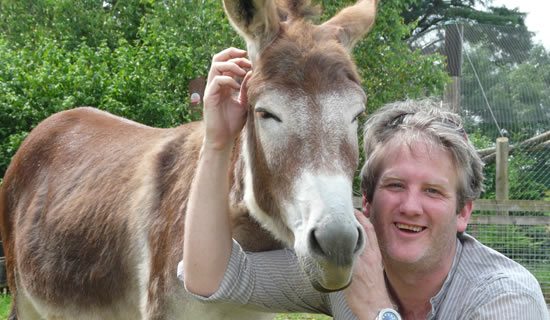 Jerusalem donkey - Lake District Wildlife Park